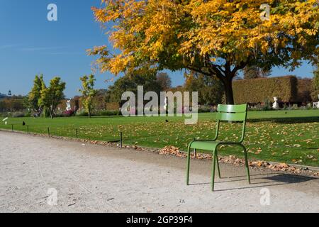 L'Automne à Paris. Jardin des Tuileries. Vue panoramique sur le parc de l'automne avec les feuilles mortes Banque D'Images