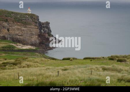 Paysage côtier dans la réserve naturelle de Taiaroa Head. Péninsule d'Otago. Otago. Île du Sud. Nouvelle-Zélande. Banque D'Images