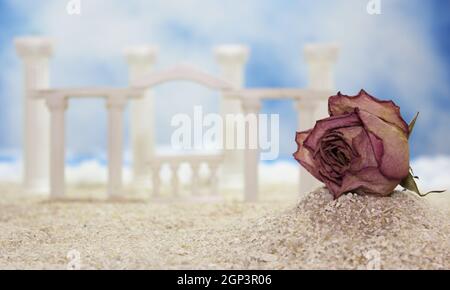 Fleur séchée sur la plage tropicale avec ruines de style romain Banque D'Images