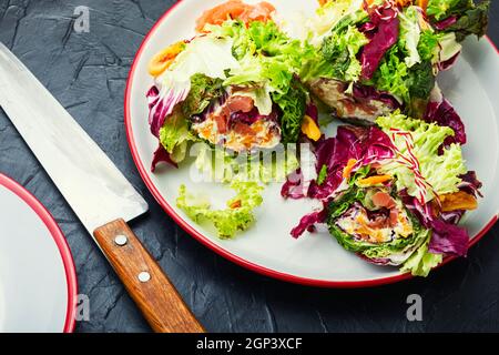 Paupiette de salade, saumon et abricots séchés. Salade de saumon aux feuilles vertes Banque D'Images