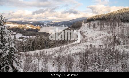 Vue sur le Titisee en hiver Banque D'Images