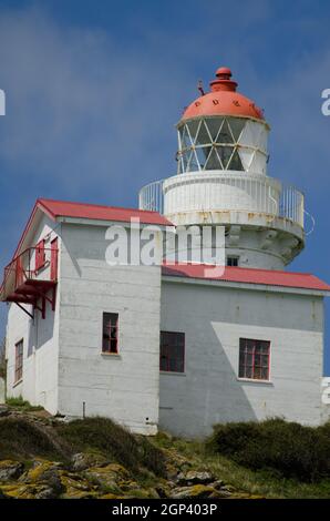 Phare de Taiaroa Head. Réserve naturelle de Taiaroa Head. Péninsule d'Otago. Otago. Île du Sud. Nouvelle-Zélande. Banque D'Images