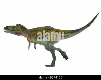 Alioramus était un dinosaure théropode carnivore qui vivait en Asie dans la période du Crétacé. Banque D'Images