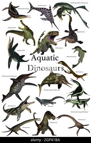 Une collection de divers dinosaures reptiles marins préhistoriques de différentes périodes de l'histoire de la Terre. Banque D'Images