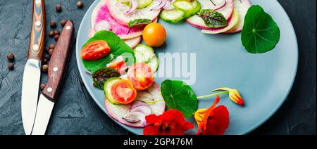 Délicieuse salade d'été de daikon, radis et sorrel Banque D'Images