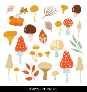 Ensemble feuilles et baies de plantes d'automne, décoration de fête des caniches dessinés à la main pour les fêtes de saison, de Thanksgiving, de Halloween décoration d'ambiance festive et de réunions de famille, décoration simple, concept minimaliste Illustration de Vecteur