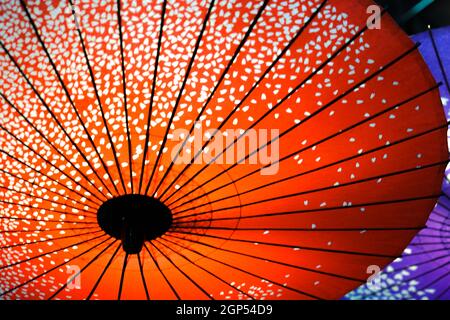 Image d'un parapluie japonais coloré. Lieu de tournage : préfecture de kanagawa, ville de Yokohama Banque D'Images