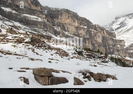 Vallée d'Ordesa dans le parc national d'Ordesa et de Monte Perdido. Pyrénées. Huesca. Aragon. Espagne. Banque D'Images