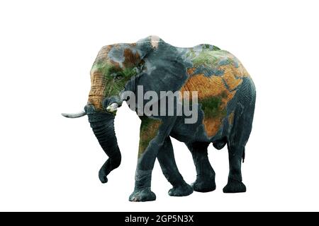 Concept de la Terre, sauver les animaux sur la planète. Image isolée de l'éléphant avec la terre peinte sur la peau. Composition créative de l'animal et de la terre. Éléments o Banque D'Images