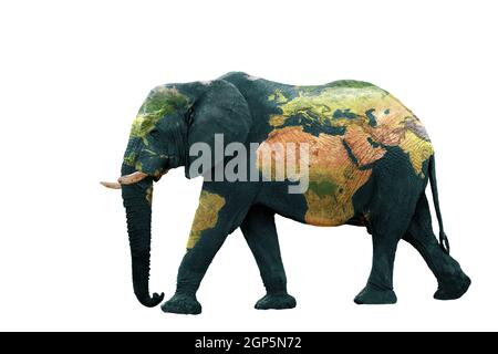 Concept de la Terre, sauver les animaux sur la planète. Image isolée de l'éléphant avec la terre peinte sur la peau. Composition créative de l'animal et de la terre. Éléments o Banque D'Images