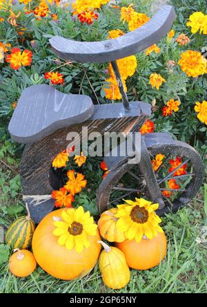 Vélo en bois avec citrouilles et marigolds. Banque D'Images