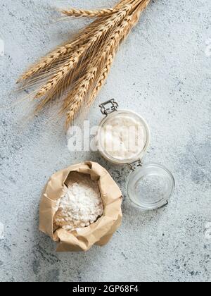 Démarreur de levain de blé. Vue de dessus des ingrédients de fabrication du pain - bocal en verre avec le démarreur de levain, la farine dans le sac de papier et les oreilles sur le backgro de ciment gris Banque D'Images