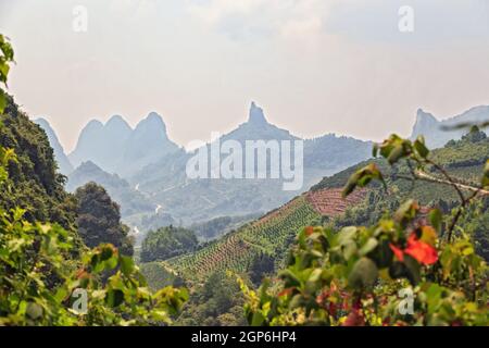 Vallées de montagne pittoresques de Yangshuo, Guilin, chaîne de montagnes 23.08.2019 Banque D'Images