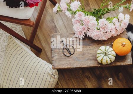 Belles fleurs d'automne, citrouilles et ciseaux sur fond rustique en bois. Fleurs roses asters, arrangement floral pour les vacances d'automne dans la campagne Banque D'Images