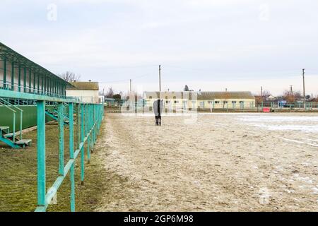 Le cheval marchait autour du stade. Praticable à cheval. Banque D'Images