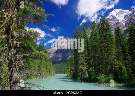 Rivière glaciaire avec de hautes montagnes en arrière-plan, rivière Kenny, Mont Robson, Colombie-Britannique, Canada Banque D'Images