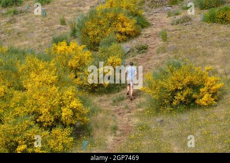 Homme, randonnée, gorge, sentier de randonnée PR1, de Pico do Arieiro à Pico Ruivo, Madère, Portugal Banque D'Images