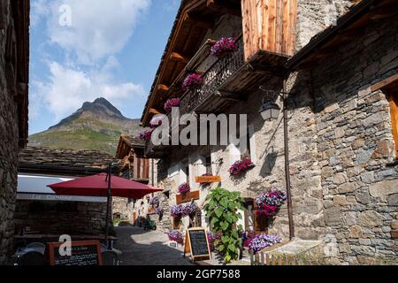 Chalet de montagne en bois et pierre avec fleurs dans les Alpes en France Banque D'Images