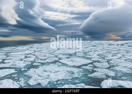 Pack ICE, Bjornsundet, île de Spitsbergen, Archipel du Svalbard, Norvège Banque D'Images