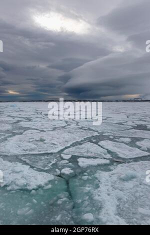 Pack ICE, Bjornsundet, île de Spitsbergen, Archipel du Svalbard, Norvège Banque D'Images