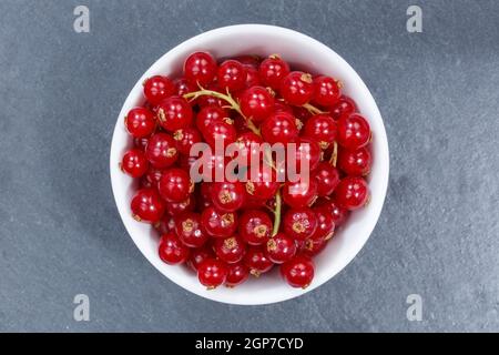 Groseilles rouges baies de dessus bol sur une ardoise Banque D'Images