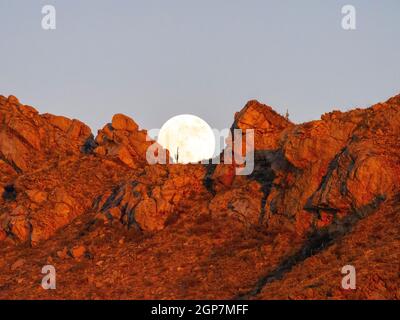 Pleine lune, montagnes de Tortolita, Marana, près de Tucson, Arizona. Banque D'Images