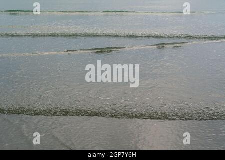 Les ondulations et les petites vagues se brisent à marée basse Banque D'Images