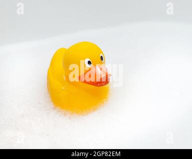 Mignon canard en caoutchouc mousse flottant dans l'espace isolé avec l'exemplaire Banque D'Images