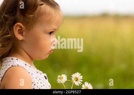 Petite fille mignonne 1-3 dans une robe légère se tient dans le champ sur un fond d'herbe avec un bouquet de pâquerettes en été Banque D'Images