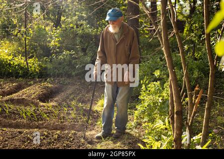 Un vieil homme en Russie dans le jardin. Un retraité dans son jardin. Un homme en été regarde le sol labouré. Un vieil homme avec un bâton de marche. Banque D'Images