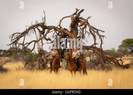 Deux femmes à cheval le long de l'arbre mort Banque D'Images