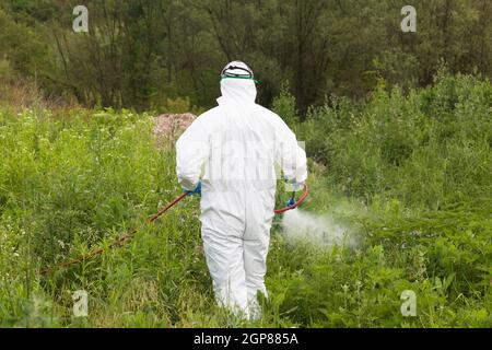 Homme vaporisant des insectes à l'extérieur. Lutte antiparasitaire. Banque D'Images