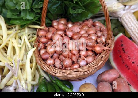 Différents types de fruits et légumes à vendre, exposés à la cérémonie de l'événement Dionysius à Scitarjevo, Croatie Banque D'Images