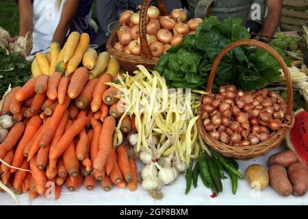 Différents types de fruits et légumes à vendre, exposés à la cérémonie de l'événement Dionysius à Scitarjevo, Croatie Banque D'Images