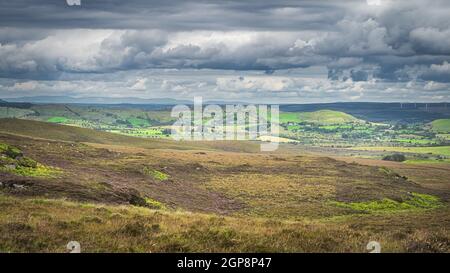 Prairies vertes et tourbières avec de l'herbe longue, fougères et bruyère sur la colline dans Cuilcagh Mountain Park, orageux, ciel spectaculaire en arrière-plan, Irlande du Nord Banque D'Images