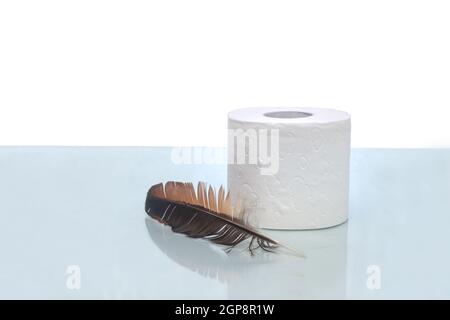 Un rouleau de papier toilette doux à côté de la plume d'un oiseau, symbole d'un toucher doux. Vue de face, espace de copie. Banque D'Images