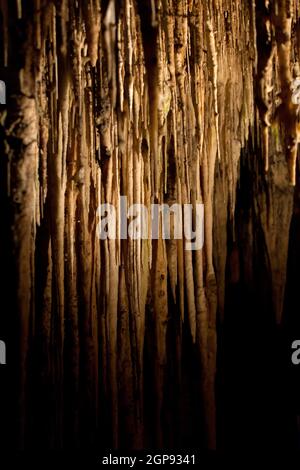 Grottes du Drach avec beaucoup de stalagmites et stalactites. Majorque, Espagne Banque D'Images