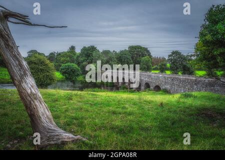 Ancienne arche en pierre du XIIe siècle, Bective Bridge sur la rivière Boyne avec un grand tronc d'arbre entouré de champs verts et de forêt, Count Meath, Irlande Banque D'Images