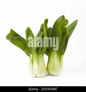 Jeunes légumes frais Pak Choi sur fond blanc Banque D'Images