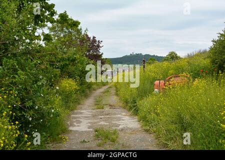 Chemin entre prairie et buissons avec vue sur Ostheim, Bavière, Allemagne avec ancien mélangeur de ciment dans la prairie Banque D'Images