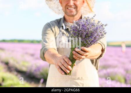 Fermier avec beau bouquet dans le champ de lavande Banque D'Images