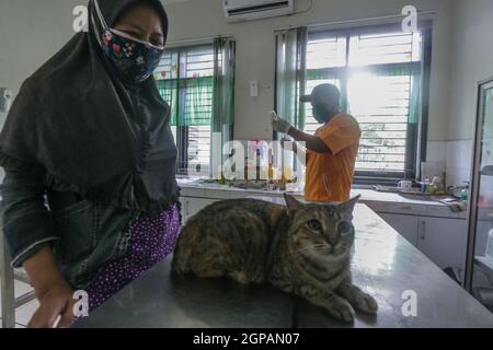 Bogor, Indonésie. 28 septembre 2021. Un chat reçoit un vaccin contre la rage lors de la célébration de la Journée mondiale de la rage au centre vétérinaire de Laladon à Bogor Regency, West Java, Indonésie, le 28 septembre 2021. (Photo par Andi M. Ridwan/INA photo Agency/Sipa USA) crédit: SIPA USA/Alay Live News Banque D'Images