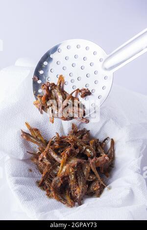 petits poissons secs frits, fruits de mer frits et croustillants prêts à servir sur fond blanc, égouttez l'huile sur une serviette en papier alimentaire Banque D'Images