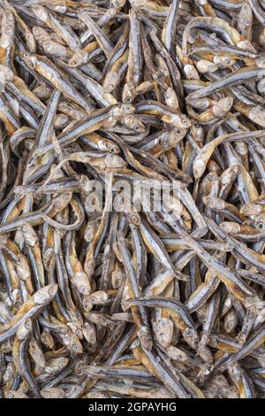 petit poisson salé sec, utilisé dans la cuisine asiatique traditionnelle, vue panoramique Banque D'Images