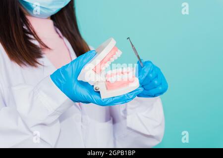 Femme asiatique belle dentiste tenant un outil professionnel et pointing modèle dents prothèse, femme médecin vérifiant prothèse isolée sur fond bleu. Banque D'Images