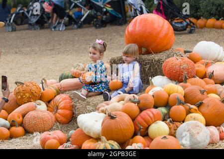 Dallas, États-Unis. 28 septembre 2021. Les enfants sont vus parmi les citrouilles au village Pumpkin de Arboretum à Dallas, Texas, États-Unis, le 28 septembre 2021. Le Pumpkin Village retourne à l'arboretum de Dallas avec plus de 90,000 citrouilles, gourdes et courges. Le thème de cette année est 'Bugtopia'. Crédit : Tian Dan/Xinhua/Alay Live News Banque D'Images