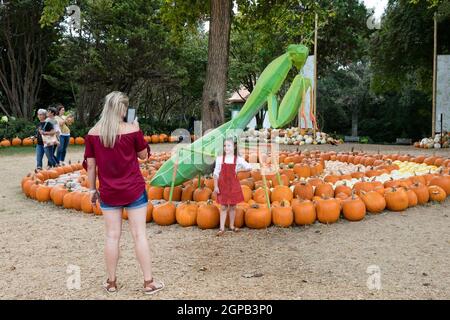 Dallas, États-Unis. 28 septembre 2021. Les gens prennent des photos au village Pumpkin de Arboretum à Dallas, Texas, États-Unis, le 28 septembre 2021. Le Pumpkin Village retourne à l'arboretum de Dallas avec plus de 90,000 citrouilles, gourdes et courges. Le thème de cette année est 'Bugtopia'. Crédit : Tian Dan/Xinhua/Alay Live News Banque D'Images