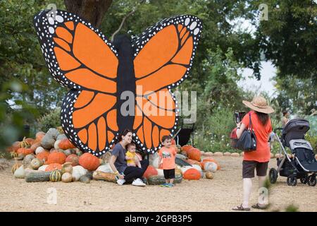 Dallas, États-Unis. 28 septembre 2021. Les gens prennent des photos au village Pumpkin de Arboretum à Dallas, Texas, États-Unis, le 28 septembre 2021. Le Pumpkin Village retourne à l'arboretum de Dallas avec plus de 90,000 citrouilles, gourdes et courges. Le thème de cette année est 'Bugtopia'. Crédit : Tian Dan/Xinhua/Alay Live News Banque D'Images