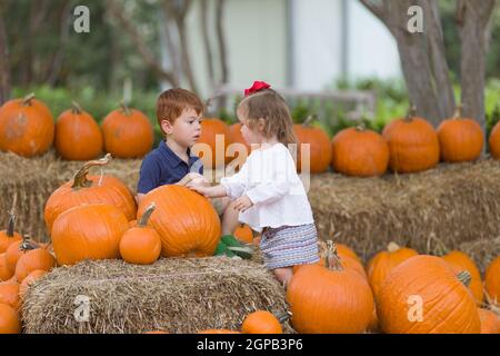 Dallas, États-Unis. 28 septembre 2021. Les enfants sont vus parmi les citrouilles au village Pumpkin de Arboretum à Dallas, Texas, États-Unis, le 28 septembre 2021. Le Pumpkin Village retourne à l'arboretum de Dallas avec plus de 90,000 citrouilles, gourdes et courges. Le thème de cette année est 'Bugtopia'. Crédit : Tian Dan/Xinhua/Alay Live News Banque D'Images