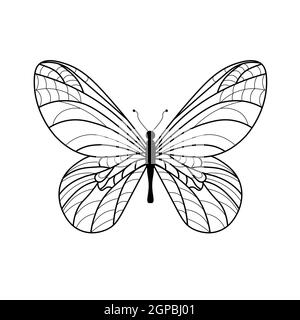 Livre de coloriage aux papillons. Dessin linéaire d'un papillon. Banque D'Images